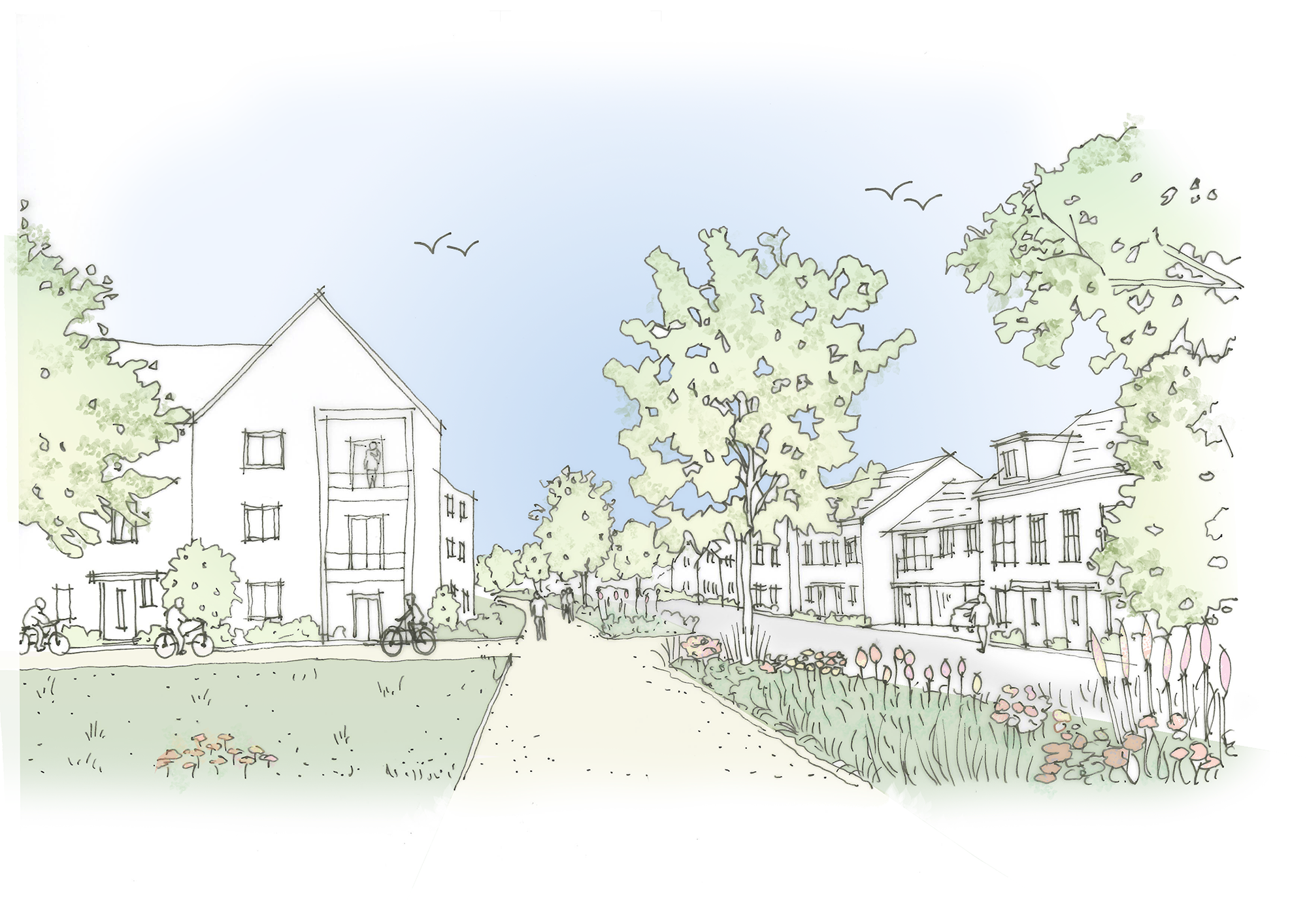 P25-0344-DE_11-04A Sketch illustrations-01