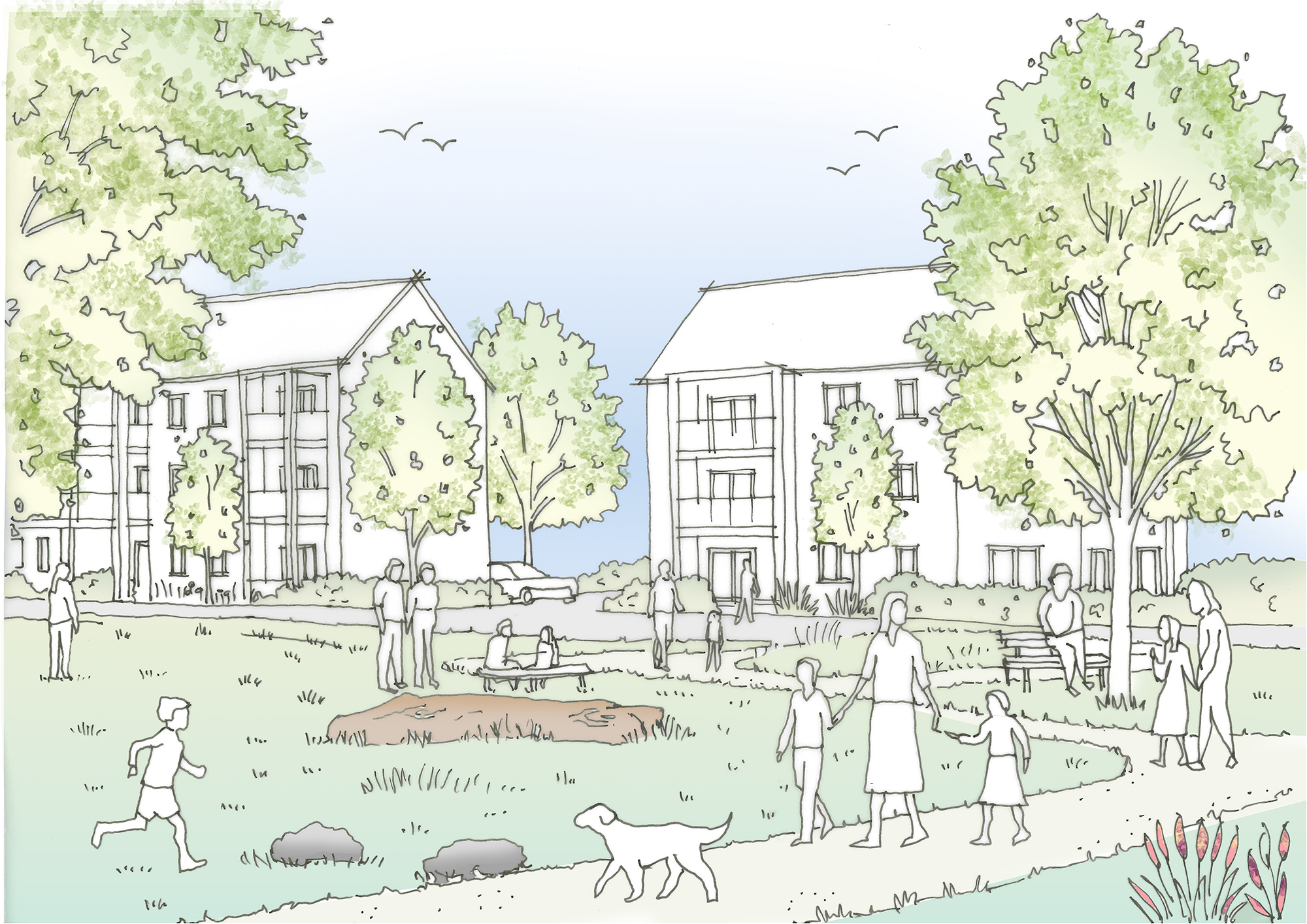 P25-0344-DE_11-04A Sketch illustrations-04